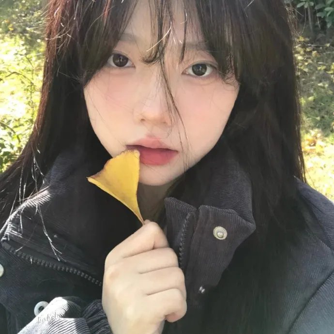 冒牌搭档